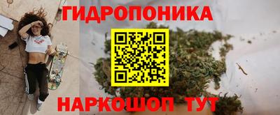 ГАЛЛЮЦИНОГЕННЫЕ ГРИБЫ Коммунар