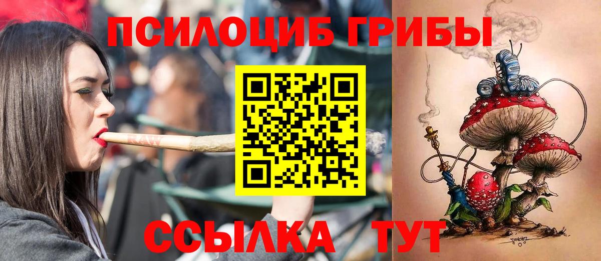 Галлюциногенные грибы прущие грибы Кувандык