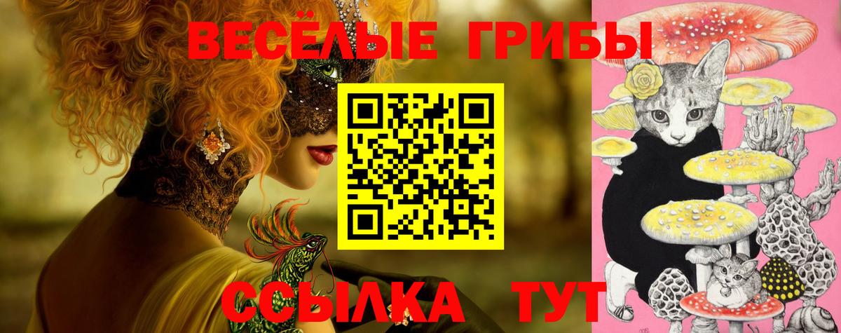 Кувандык  Галлюциногенные грибы MAGIC MUSHROOMS  Вход с VPN  Псилоцибиновые грибы MAGIC MUSHROOMS 