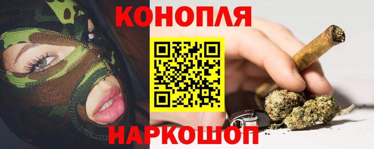 Бошки Шишки семена  Каннабис семена  Вход с VPN  Кувандык  Марихуана White Widow 
